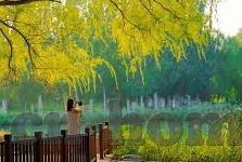 世界杯视频 mp4-世界杯精彩瞬间，尽在mp4视频中