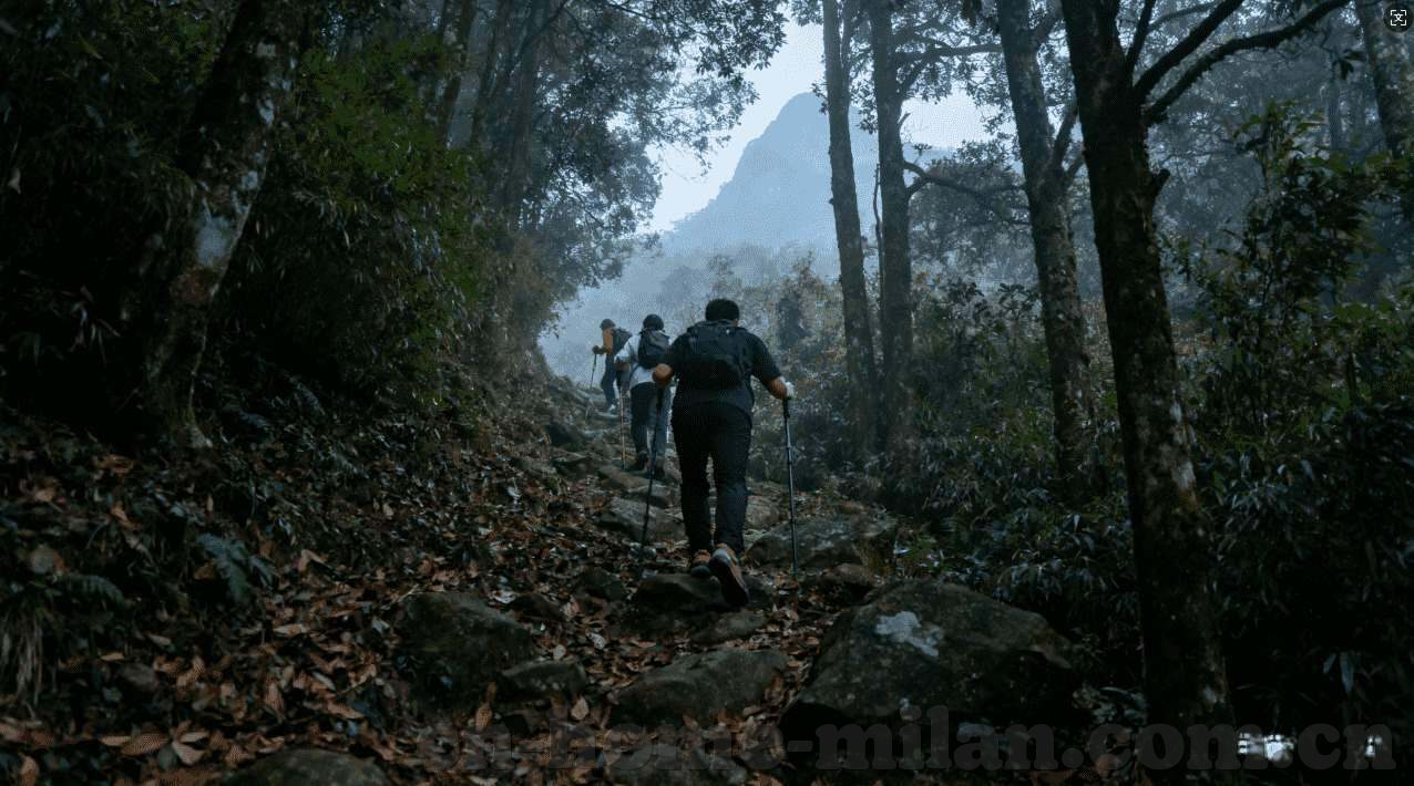 炸金花正规游戏-探索炸金花正规游戏的魅力与策略