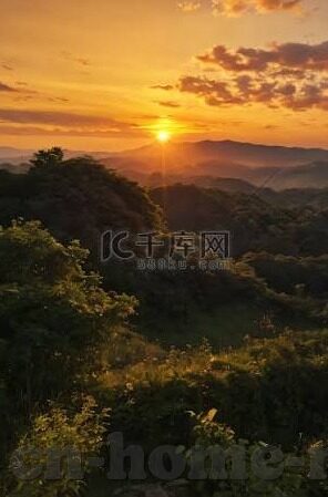足球比分网评论-深度解析，足球比分网——球迷的数字战场与信息灯塔